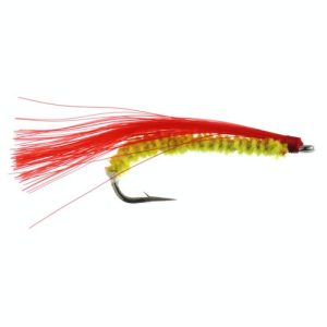 Pucci Shrimp Flies (12 Pack) - Red and Yellow